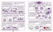 法布爾的微觀世界：昆蟲觀察X科學實驗X自然書寫